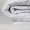 Comforters & Duvets
